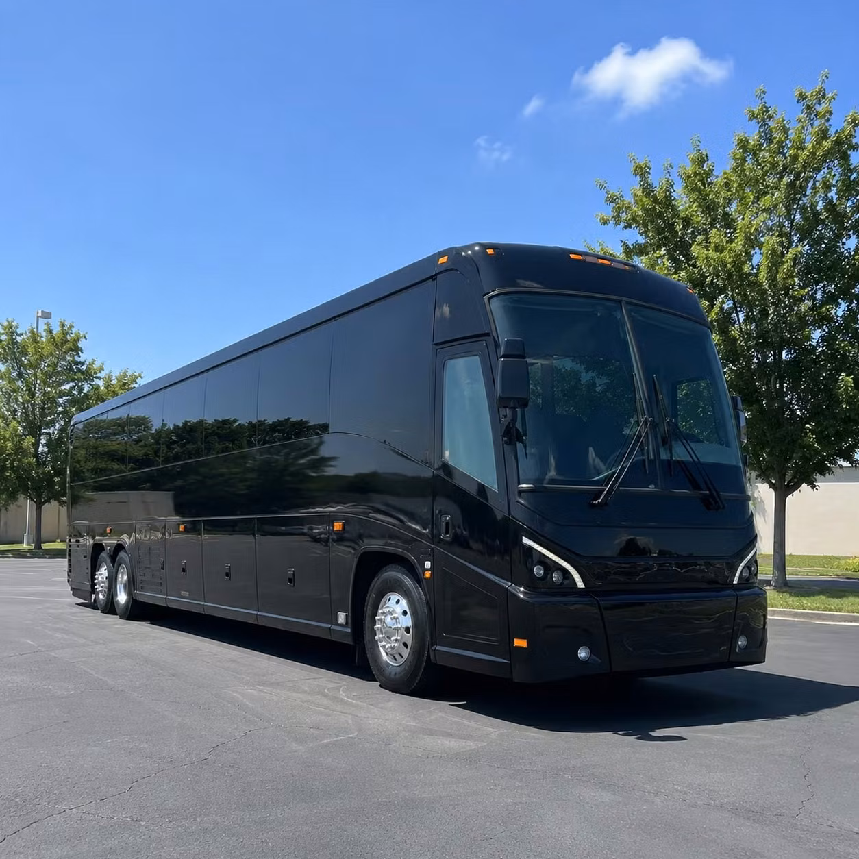 brockton 56 passenger charter bus rental